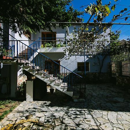 Bujtina Leon'S Apartments コルチャ エクステリア 写真